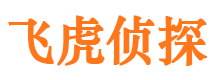 九龙市侦探调查公司